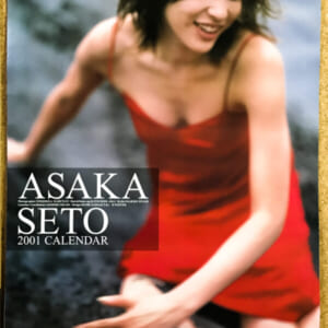 瀬戸朝香の2001年カレンダー