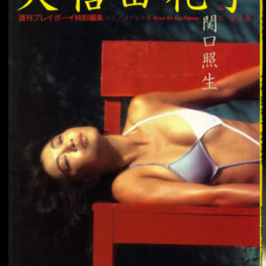 大信田礼子写真集「週刊プレイボーイ特別編集」