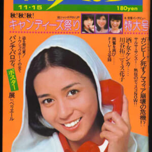 奈美悦子、ひろみ麻耶他掲載。昭和51年：「週刊平凡パンチ」