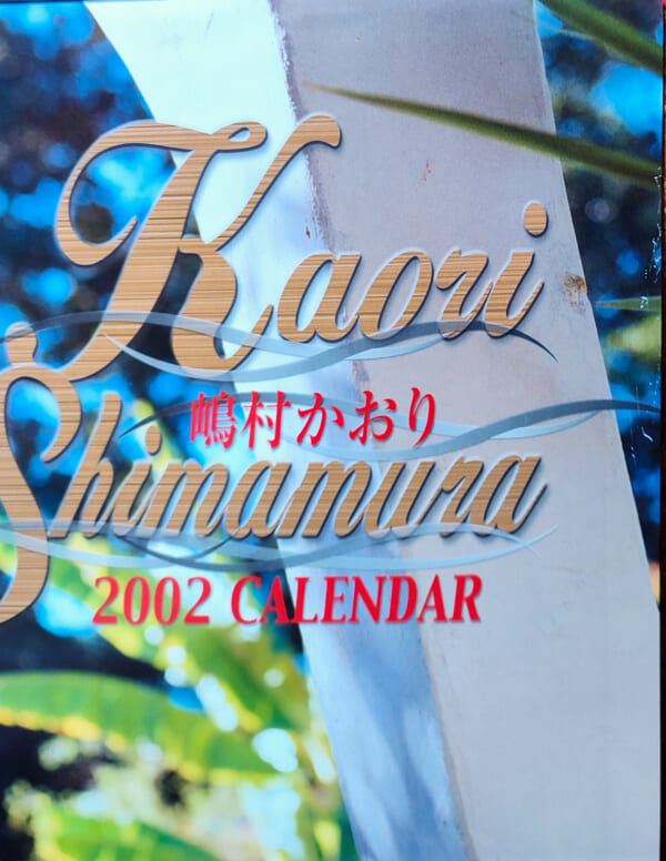 嶋村かおり2002年 カレンダー B2サイズ ７枚綴り。未使用品。ハゴロモ TRY-X