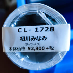 直筆サイン入り。初川みなみ　2021年 カレンダー B2サイズ ８枚綴り。新品未開封。ハゴロモ TRY-X