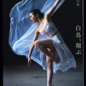 藤かんな写真集 「白鳥、翔ぶ」 美品。発売時の定価 4,200円+税 徳間書店 2024年3月31日 初版